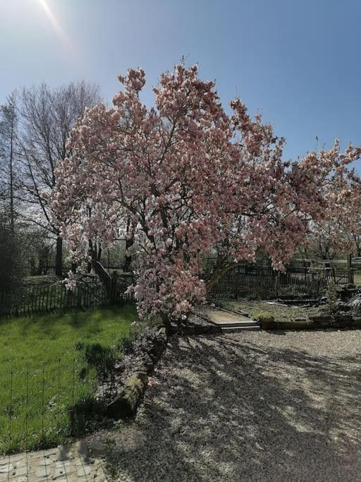 Gite Rural La Ferme Du Semeur-Zaaiershof Lessines Exteriér fotografie
